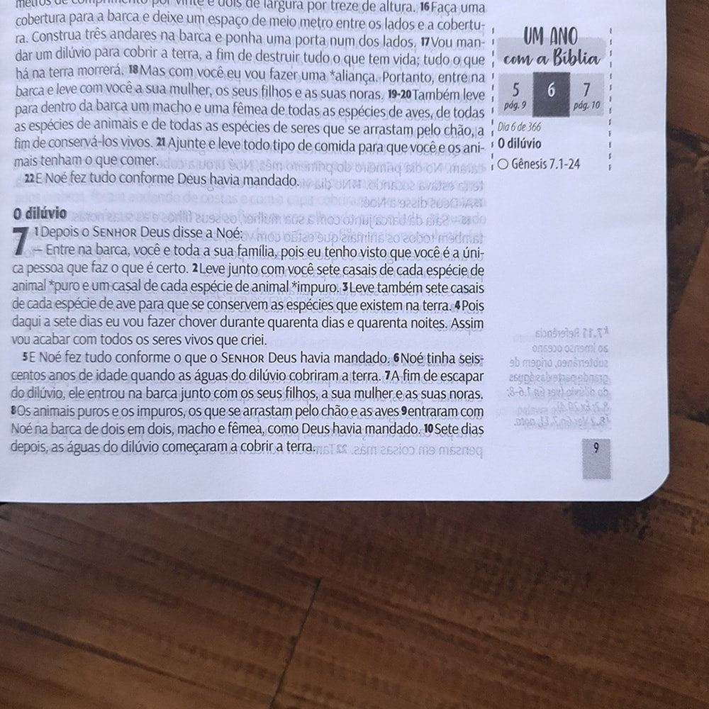 Bíblia Sagrada You Version | NTLH | Letra Normal | Capa Dura Preta