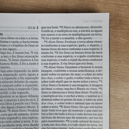 Bíblia 365 Vermelha | ARC | Letra Grande | Capa Brochura