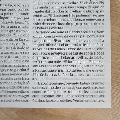 Bíblia 365 Vermelha | ARC | Letra Grande | Capa Brochura
