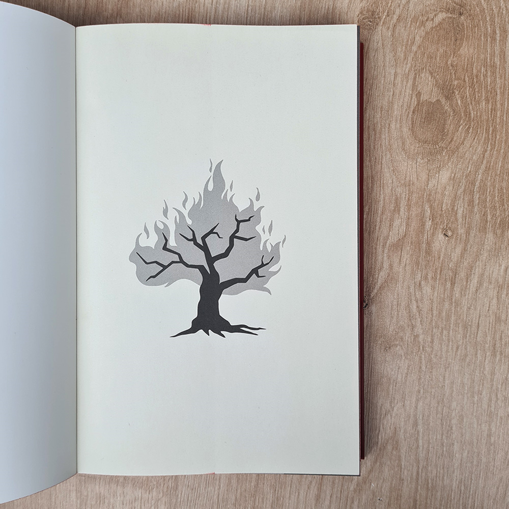 Discipulado Começa com Contemplação | Samuel Whitefield