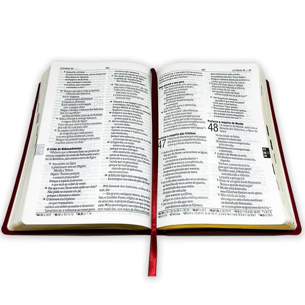 Bíblia Sagrada | NAA | Letra Grande | C/ Harpa Cristã | Capa Semi Luxo Vinho