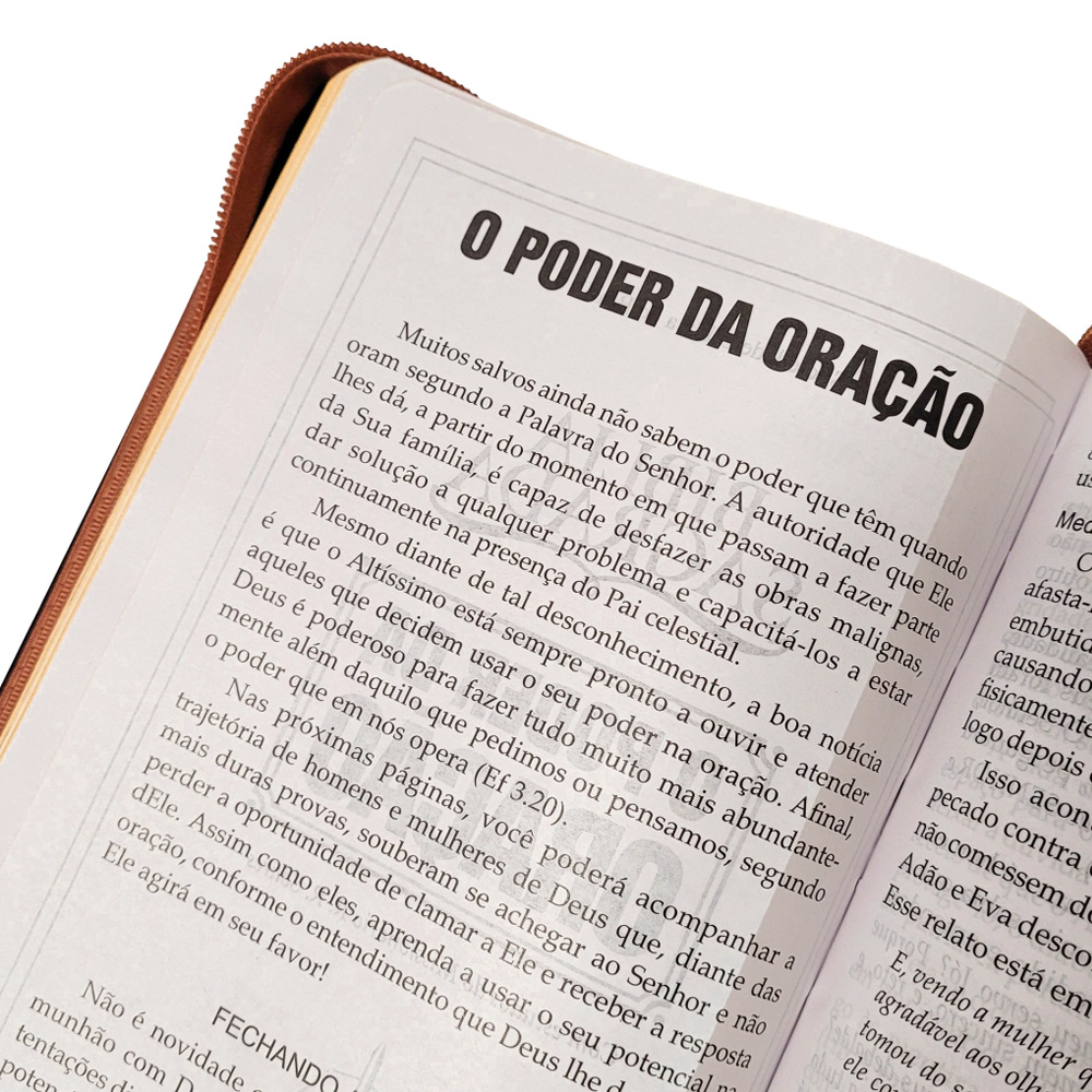 Bíblia Sagrada | O Poder da Oração | ARC | Letra Normal | Capa Semi Luxo Caramelo C/Ziper