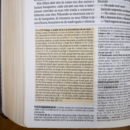 Bíblia de Estudo | NAA |  Letra Normal |  Tamanho Portátil | Capa Luxo