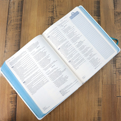 A Bíblia Sagrada Holy Biblie Peace | Bilíngue Português E Inglês | Nova Versão Internacional