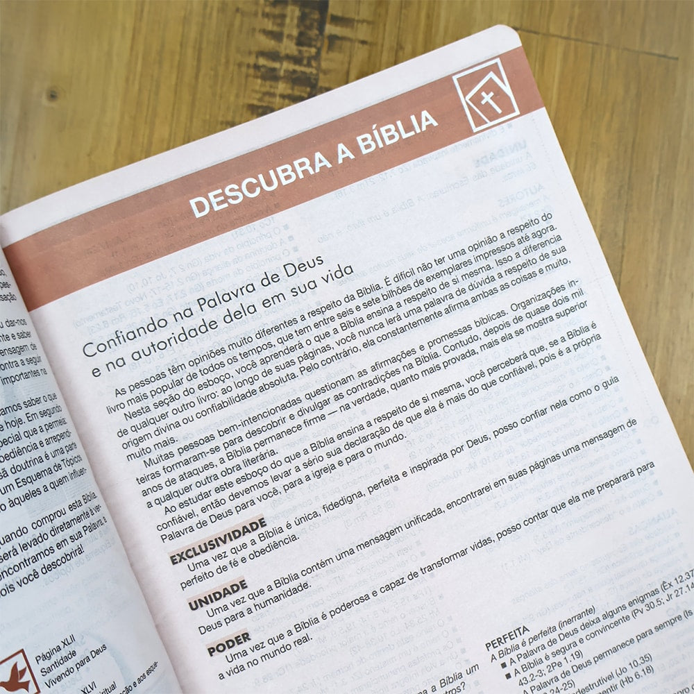 Bíblia de Estudo Esquematizada | ARA | Letra Normal | Capa Luxo Marrom