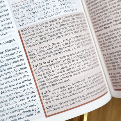 Bíblia de Estudo Esquematizada | ARA | Letra Normal | Capa Luxo Marrom