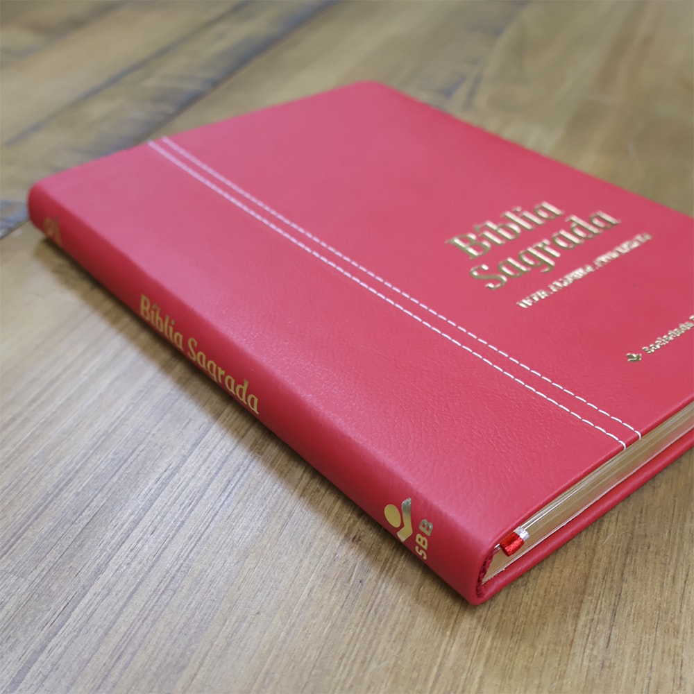 Bíblia Sagrada | NAA | Letra Normal | Capa Couro Legítimo Malagueta