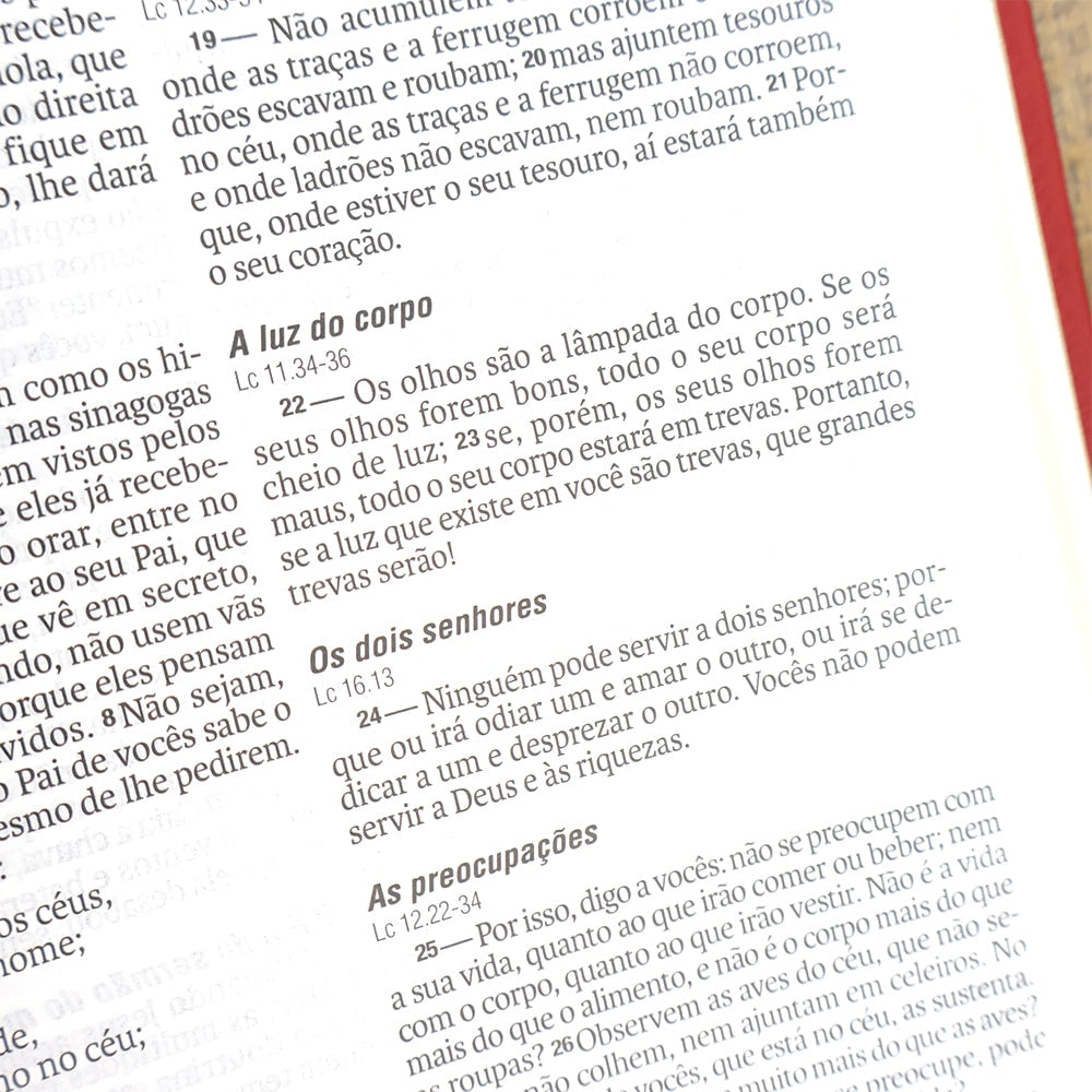 Bíblia Sagrada | NAA | Letra Normal | Capa Couro Legítimo Malagueta