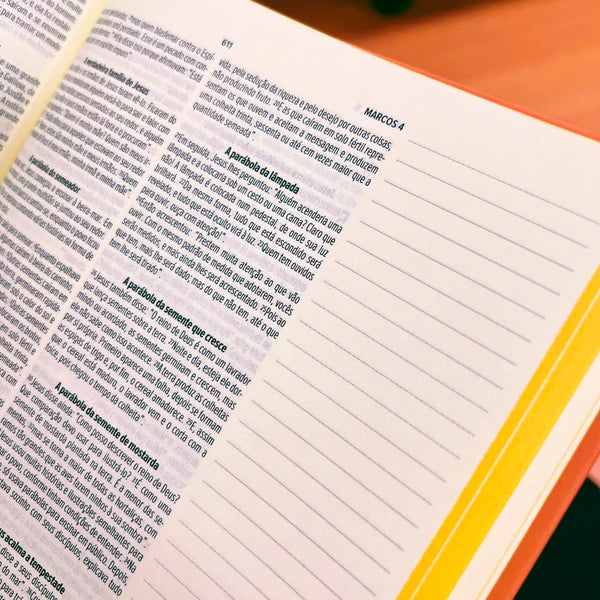 Biblia Sagrada Centesima  NVI  Letra Normal  Espaco P/ Anotacao  Capa Dura