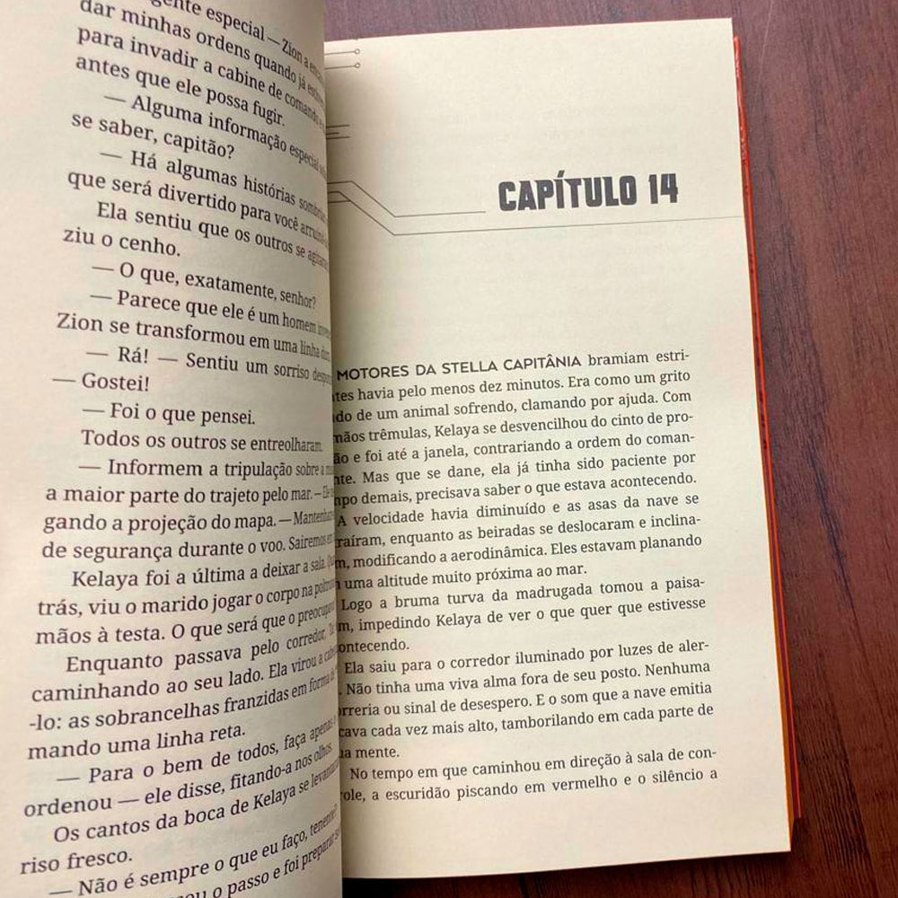 As Andorinhas de Um Continente em Chamas | Gabriela Fernandes