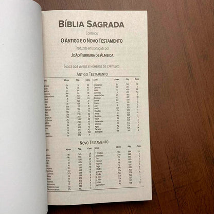 Bíblia Sagrada Salvos Pela Graça | ARC | Letra Normal | Capa Brochura