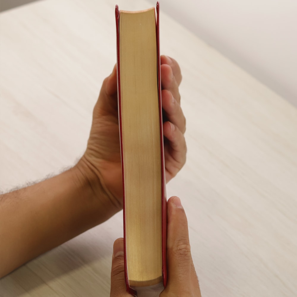 Bíblia Sagrada Leitura Perfeita  | NVI | Letra Gigante | Capa Couro Soft Vinho