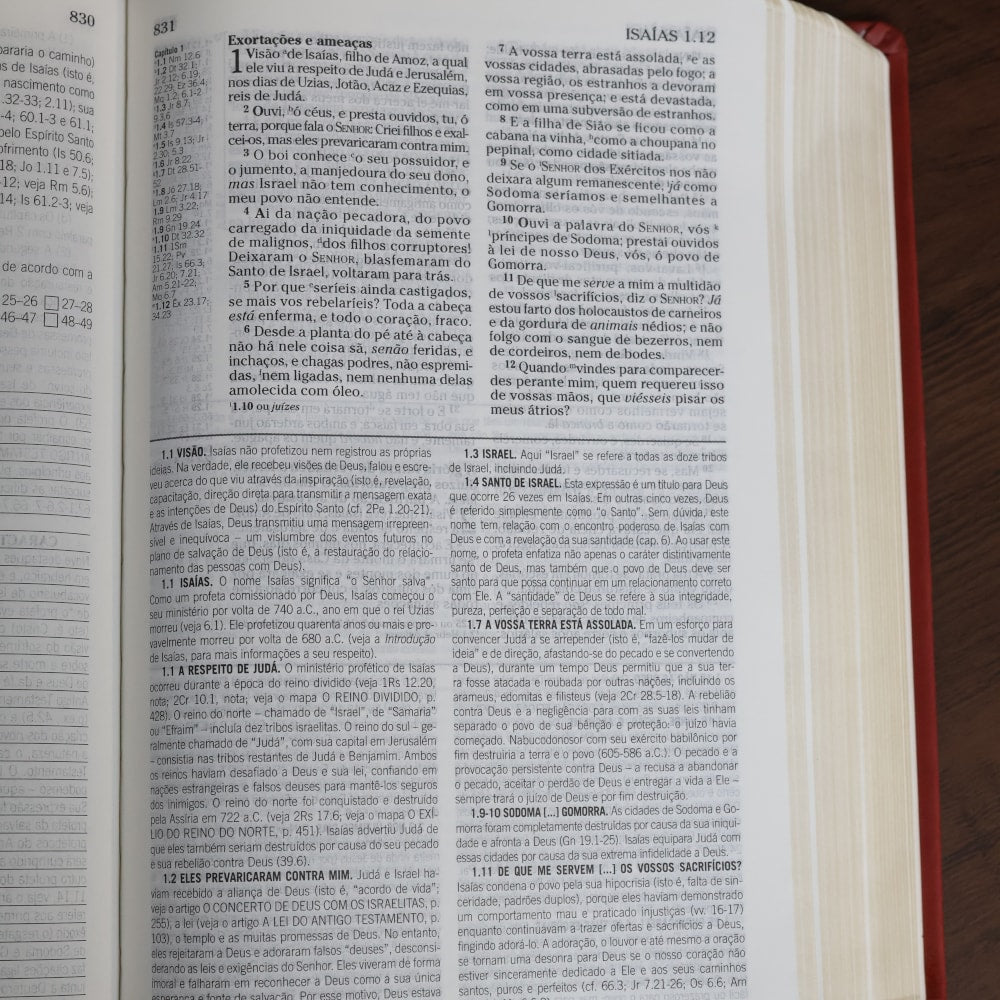 Bíblia de Estudo Pentecostal para Jovens | ARC | Letra Média | Luxo Vinho