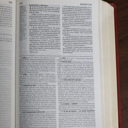 Bíblia de Estudo Pentecostal para Jovens | ARC | Letra Média | Luxo Vinho