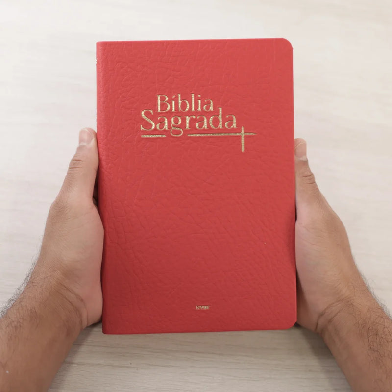 Bíblia Sagrada | NVI | Letra Normal | Capa Luxo Vermelha