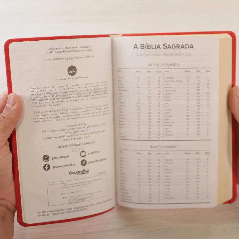 Bíblia Sagrada | NVI | Letra Normal | Capa Luxo Vermelha