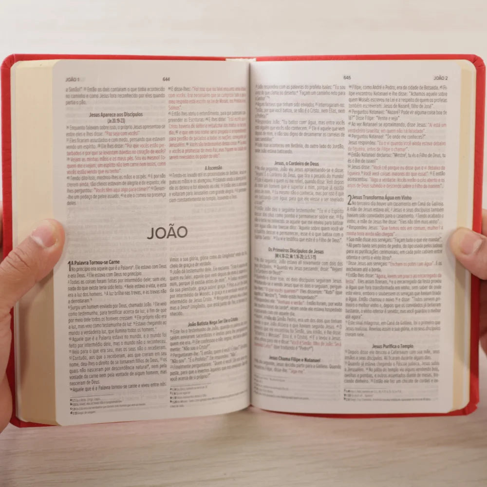 Bíblia Sagrada | NVI | Letra Normal | Capa Luxo Vermelha