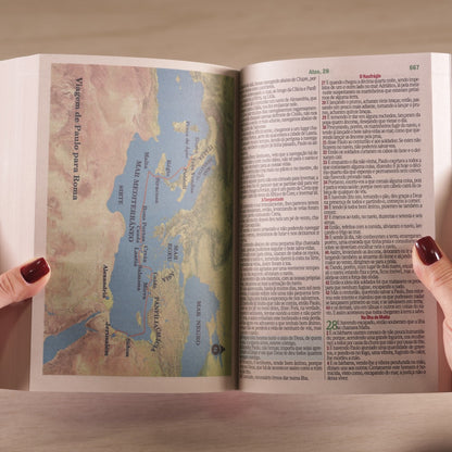 Bíblia Sagrada Leão Colorido | ARC | Letra Maior | Harpa e Corinhos | Capa Brochura