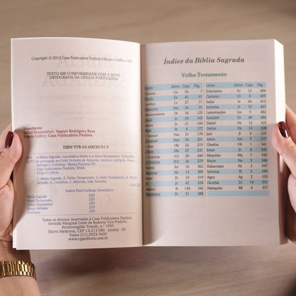 Bíblia Sagrada Leão Colorido | ARC | Letra Maior | Harpa e Corinhos | Capa Brochura