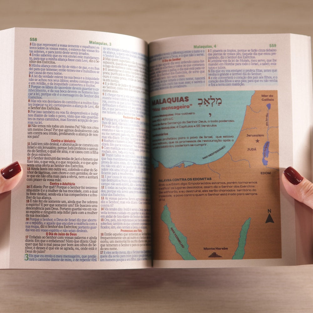 Bíblia Sagrada Leão Colorido | ARC | Letra Maior | Harpa e Corinhos | Capa Brochura