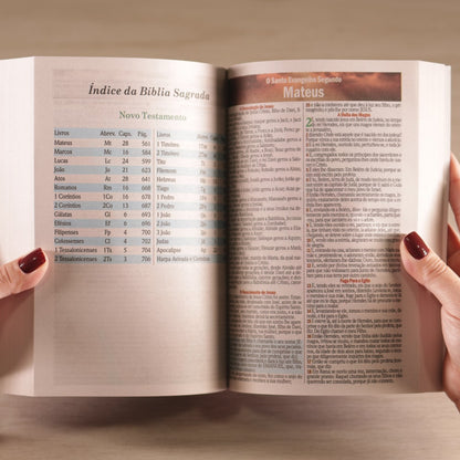 Bíblia Sagrada Leão Colorido | ARC | Letra Maior | Harpa e Corinhos | Capa Brochura