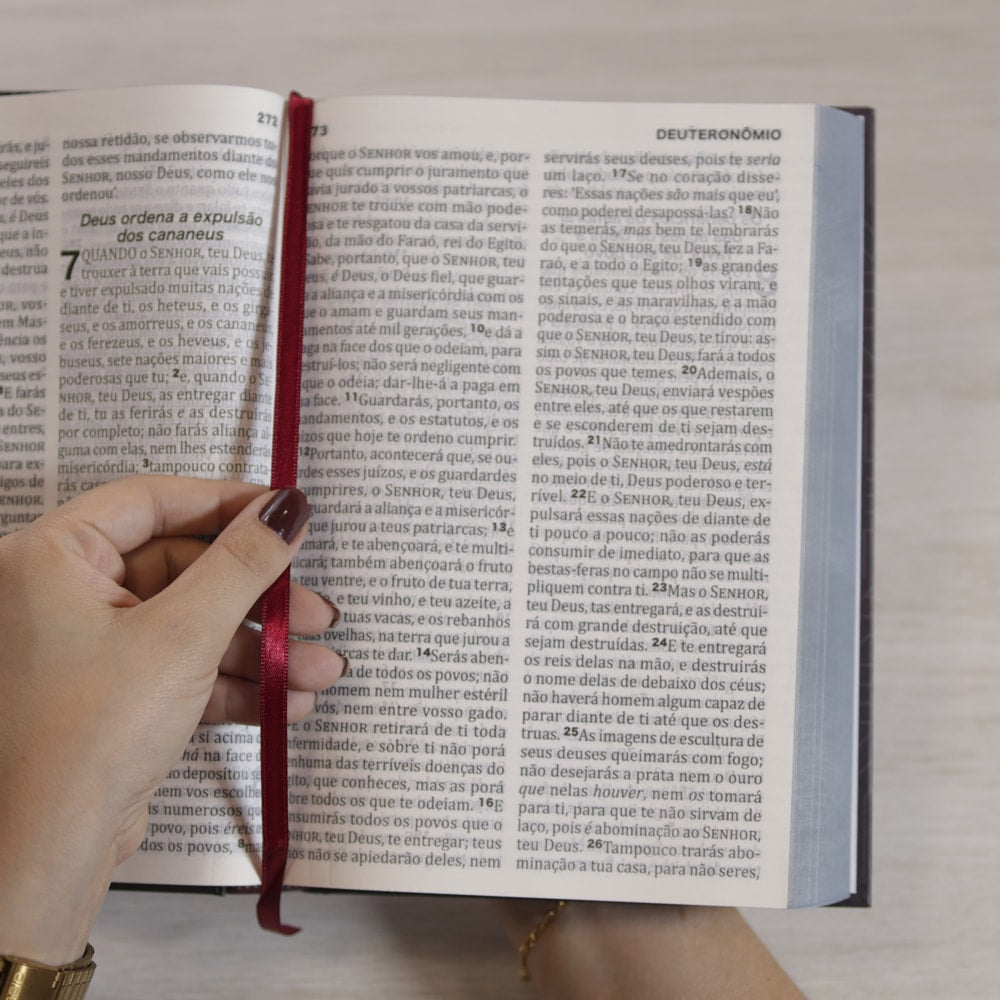 Bíblia Sagrada King James | Letra Extra Grande | Capa Dura Verdade