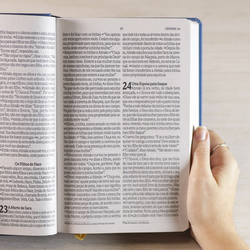 Bíblia Sagrada Vitral Azul | NVI | Letra Grande | Capa Dura