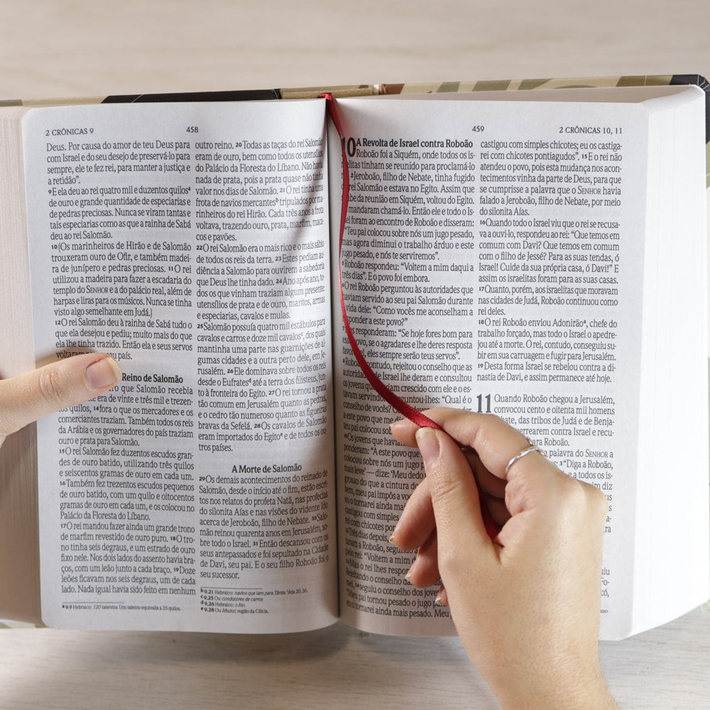 Bíblia Sagrada Nada Será Capaz | NVI | Letra Grande | Capa Dura