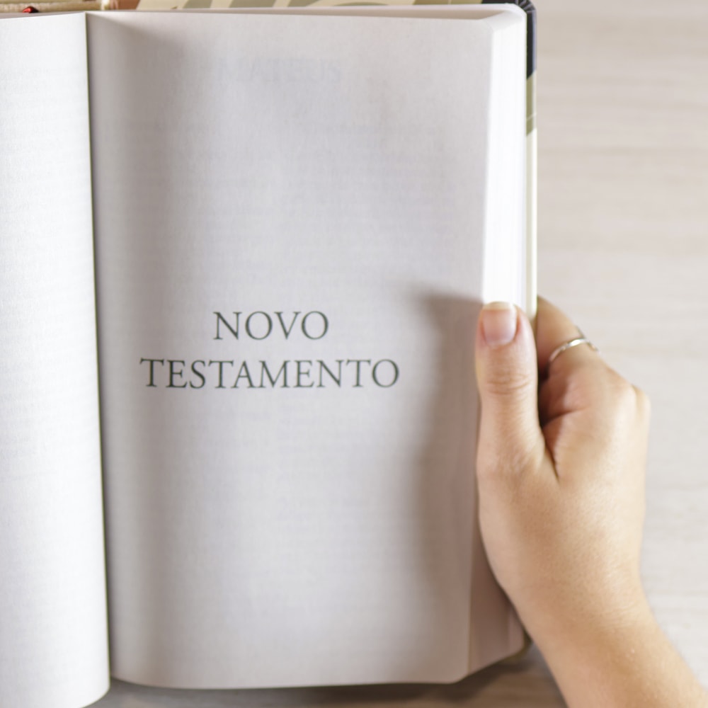 Bíblia Sagrada Nada Será Capaz | NVI | Letra Grande | Capa Dura