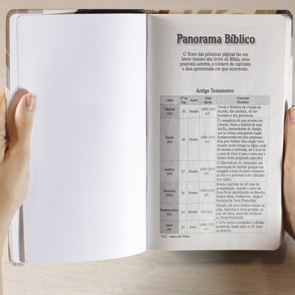 Bíblia Sagrada Nada Será Capaz | NVI | Letra Grande | Capa Dura