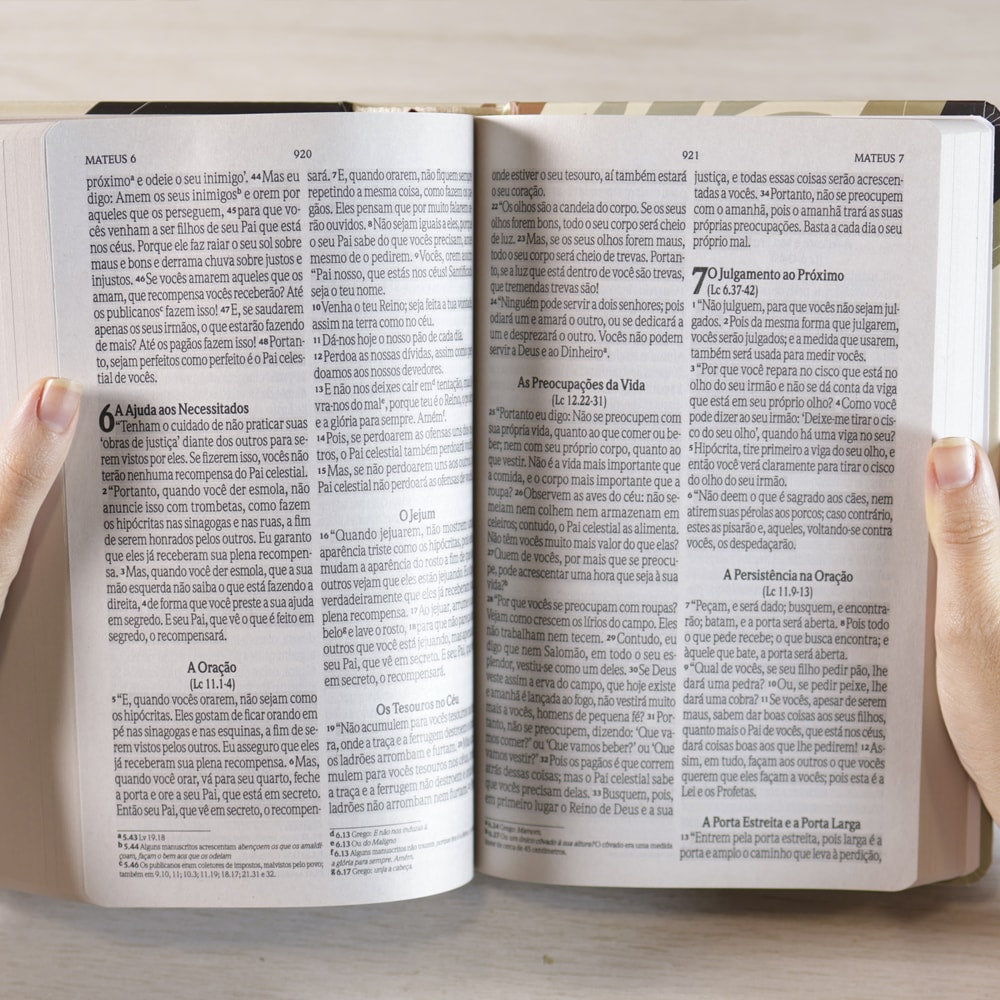 Bíblia Sagrada Nada Será Capaz | NVI | Letra Grande | Capa Dura