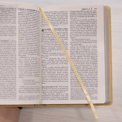 Bíblia Sagrada | NTLH | Letra Grande | Capa Filipenses 4:13