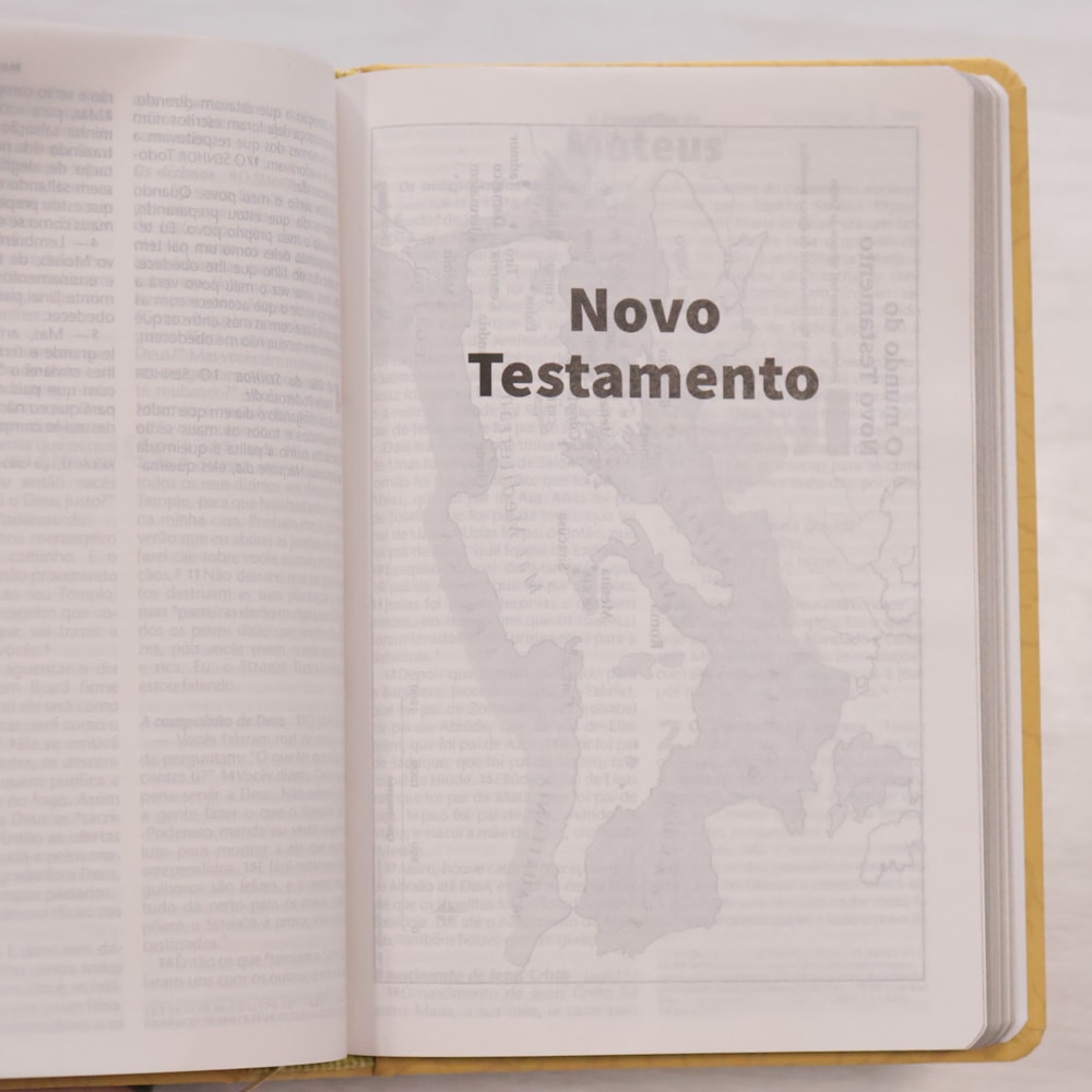 Bíblia Sagrada | NTLH | Letra Grande | Capa Filipenses 4:13