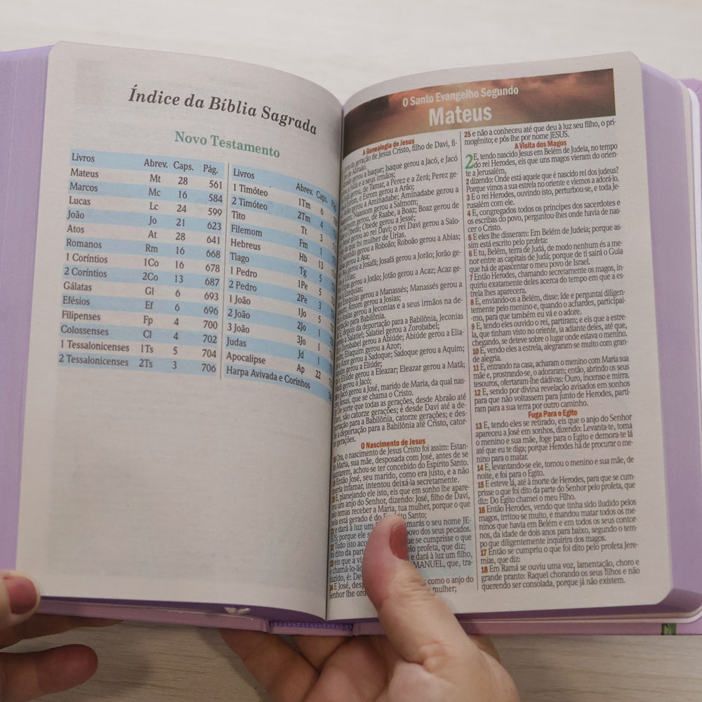 Bíblia Sagrada Lírios | ARC | Letra Maior | Harpa e Corinhos | Capa Dura