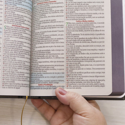Bíblia Sagrada Bom Pastor | ARC | Letra Maior | Harpa e Corinhos | Capa Dura
