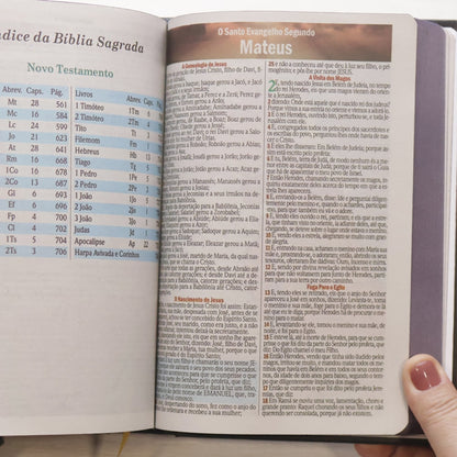 Bíblia Sagrada Bom Pastor | ARC | Letra Maior | Harpa e Corinhos | Capa Dura