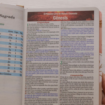 Bíblia Sagrada Brush e Folhas | ARC | Letra Maior | Harpa e Corinhos | Capa Dura
