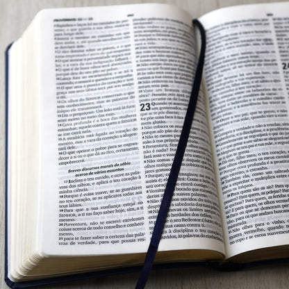 Bíblia Sagrada com Harpa Cristã | ARC | Letra Grande | Capa Luxo Floral Azul