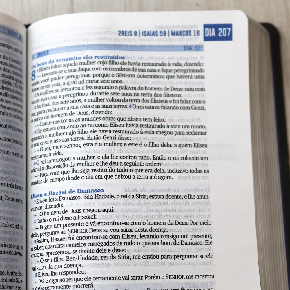 Bíblia 365  Dia e Noite | Letra Normal | NAA | Capa Cinza Luxo