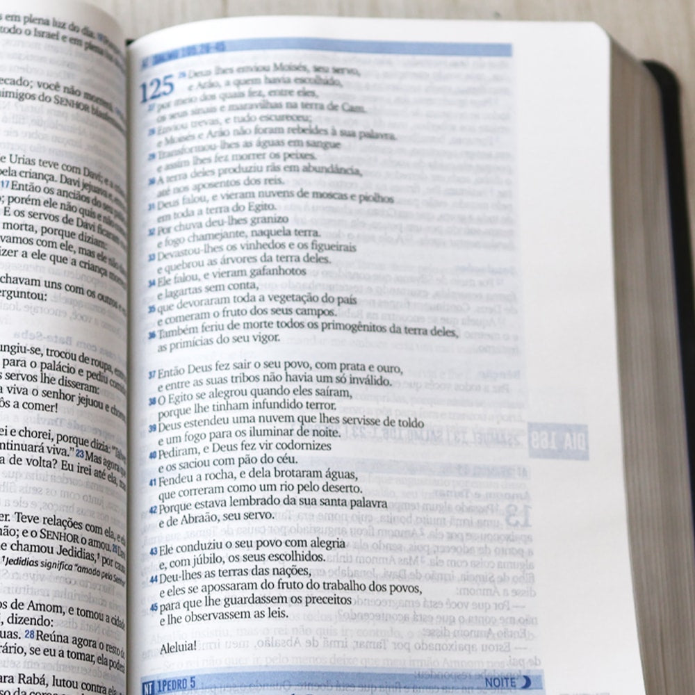 Bíblia 365  Dia e Noite | Letra Normal | NAA | Capa Cinza Luxo