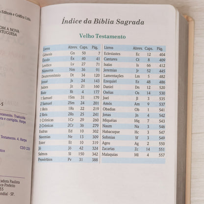 Bíblia Sagrada | Letra Gigante | ARC | Harpa Avivada e Corinhos | Capa PU Luxo Rosê e Pink
