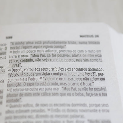 Bíblia Sagrada Leão Vencedor | NVI | Letra Normal | Capa Brochura