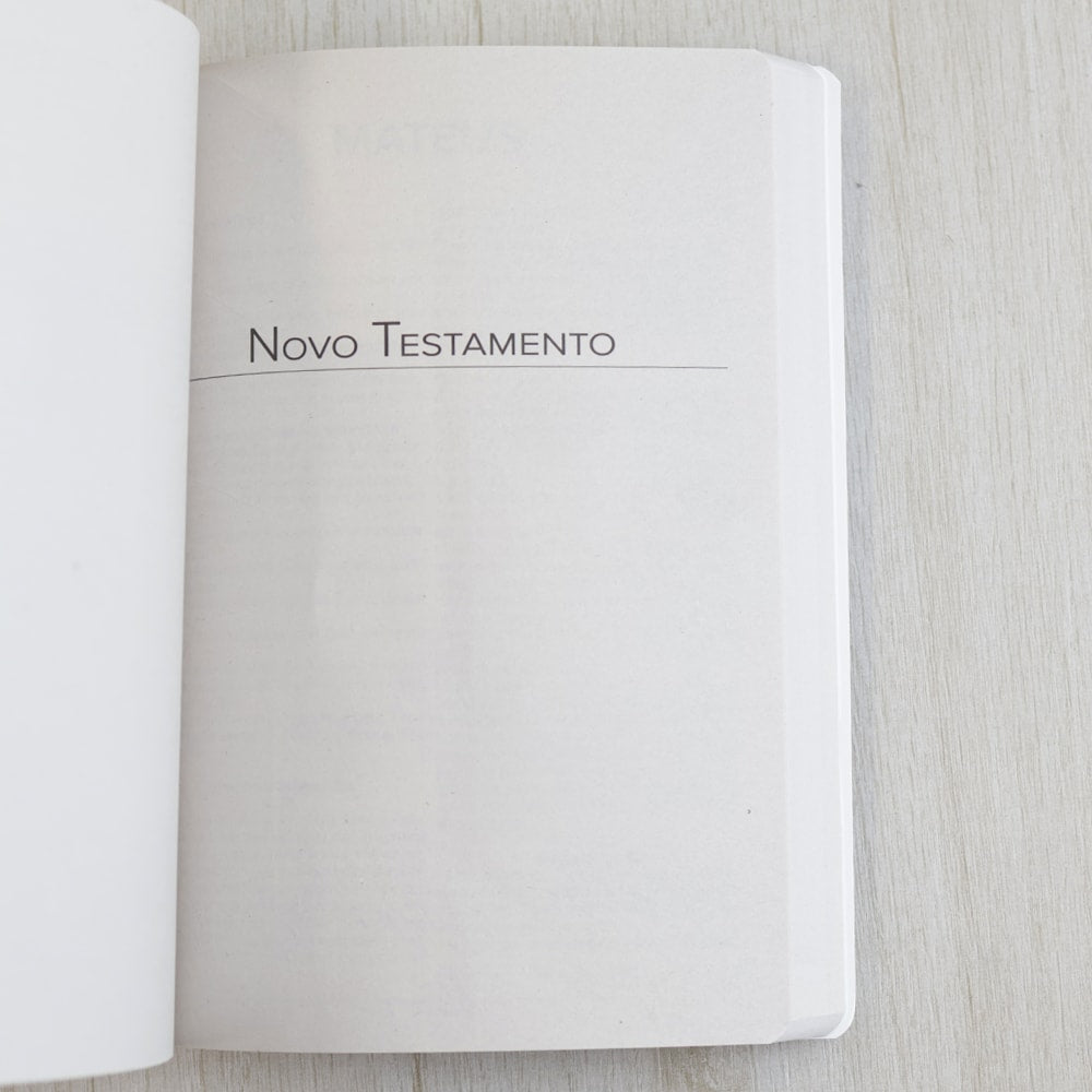 Bíblia Sagrada Leão Vencedor | NVI | Letra Normal | Capa Brochura