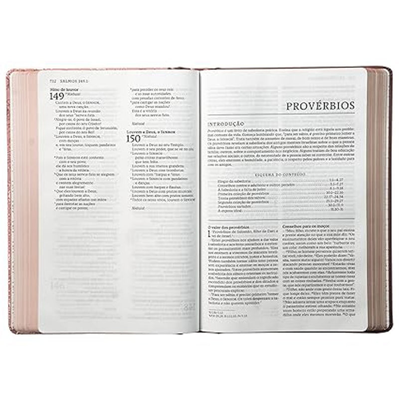 Bíblia Sagrada Católica | NTLH | Letra Grande | Capa Dura Rosa com Lombada em Tecido