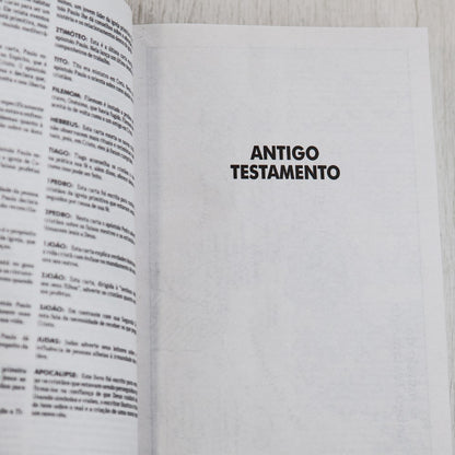 Bíblia Sagrada | NTLH | Reino de Deus | Brochura