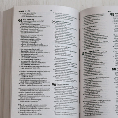 Bíblia Sagrada | NTLH | Vão Pelo Mundo | Brochura