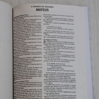 Bíblia Sagrada | ACF | Letra Grande | Capa Dura Flor Azul