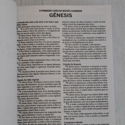 Bíblia Sagrada | ACF | Letra Grande | Capa Dura Flor Azul