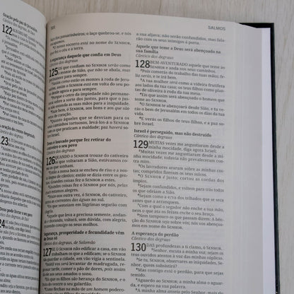 Bíblia Sagrada | ACF | Letra Grande | Capa Dura Leão Amado Rei