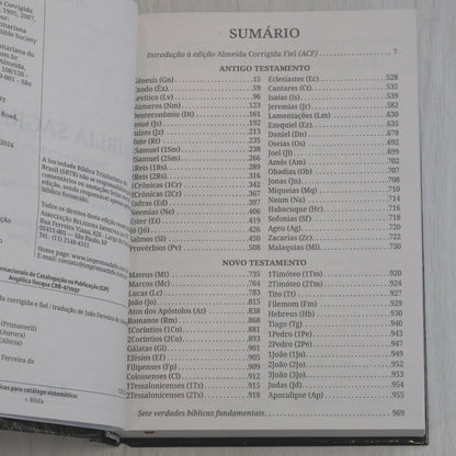 Bíblia Sagrada | ACF | Letra Grande | Capa Dura Leão Amado Rei
